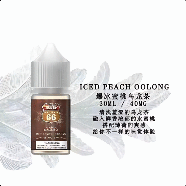 ROUTE 66小煙油 ROUTE 66丁鹽煙油 30ml/ 40mg 美國原裝進口小煙推薦 台灣現貨免運