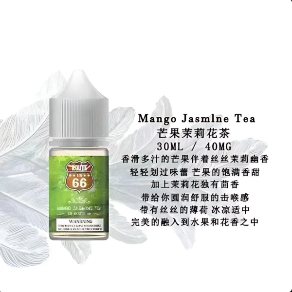 ROUTE 66煙油 ROUTE 66丁鹽煙油 30ml/ 40mg 美國原裝進口小煙推薦 台灣現貨免運