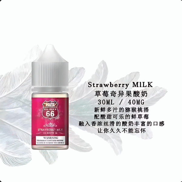 ROUTE 66電子煙油 ROUTE 66丁鹽煙油 30ml/ 40mg 美國原裝進口小煙推薦 台灣現貨免運